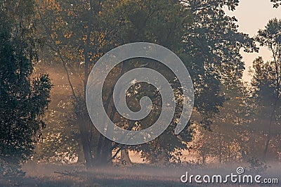 Autumnal dawn over rural meadows. Stock Photo