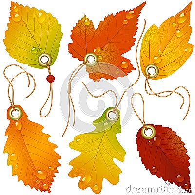 Autumnal discount Vector Illustration