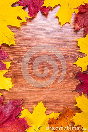 Autumnal frame with leaves Stock Photo