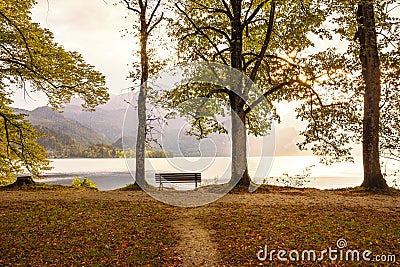 Autumnal lake shore of lake walchensee, upper bavaria Stock Photo