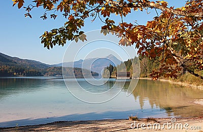 Autumnal lake shore walchensee, bavaria Stock Photo