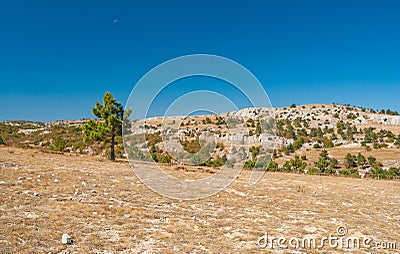 Autumnal landscape on Ai-Petri mountain tableland in Crimean peninsula Stock Photo