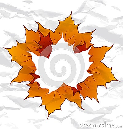 Autumnal maple leaves Vector Illustration