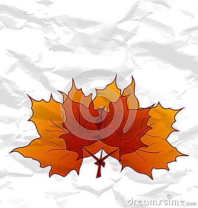 Autumnal maple leaves, crumpled paper texture Vector Illustration