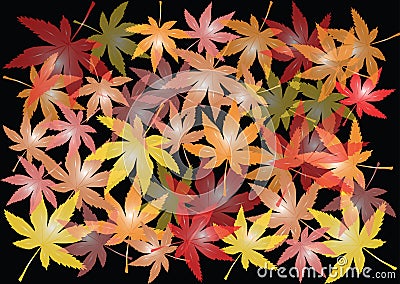 Autumnal maple leaves illustration Stock Photo