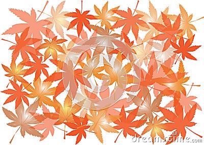 Autumnal maple leaves isolated on white background Stock Photo