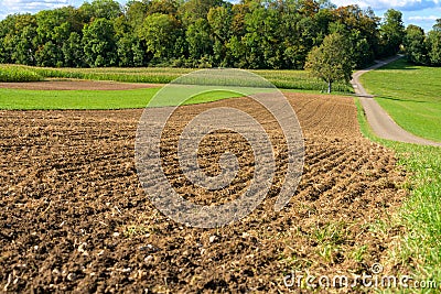 Autumnal Roadside View: Plowed Field Leading to Majestic Forest Stock Photo