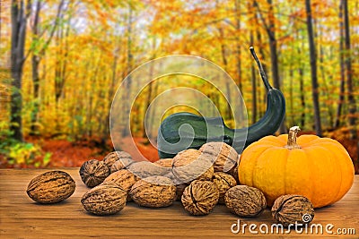 Autumnal still life with pumkin and wallnuts on wood background Stock Photo