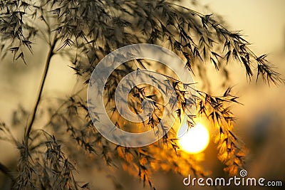 Autumnal sunset Stock Photo