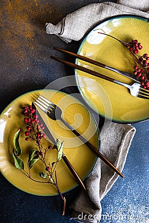 Autumnal table setting with wild red berries Stock Photo