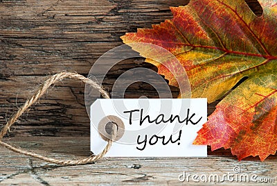 Autumnal Thank You Label Stock Photo