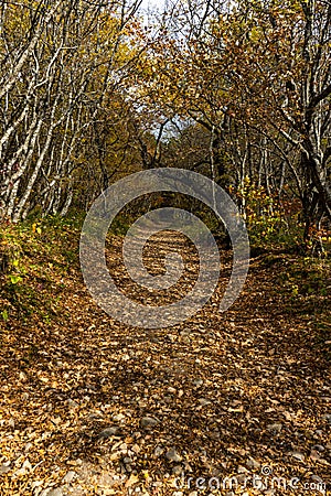 Autumnal travel landscape Stock Photo