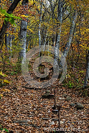 Autumnal travel landscape Stock Photo