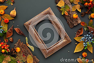Autumnal-winter composition with dried leaves, pumpkins, bark of trees and berries on dark background. Frame of plants. Flat lay, Stock Photo