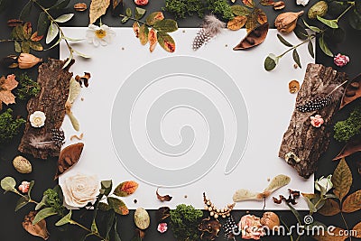 Autumnal-winter concept with dried flowers and leaves, branches of eucalyptus, bark of trees and berries on dark background. Stock Photo