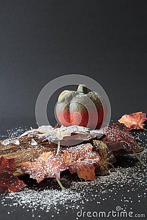 Autumnally decorated pumpkin with autumn foliage,snow and ice crystals Stock Photo