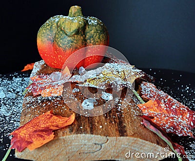 Autumnally decorated pumpkin with autumn foliage,snow and ice crystals Stock Photo