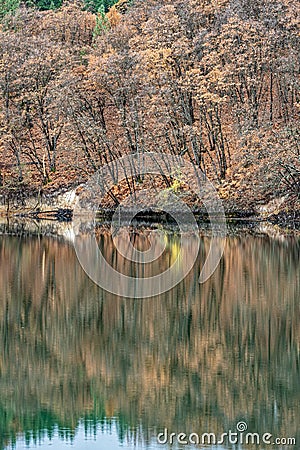 Autumnn foliage reflected in Britton Lake at McArthur Burney Falls Memorial State Park in California, USA Stock Photo