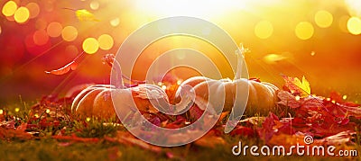 AutumnThanksgiving Day Background. Holiday Autumn Festival Concept. Harvest Stock Photo