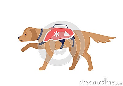 Avalanche rescue dog semi flat color vector character Vector Illustration