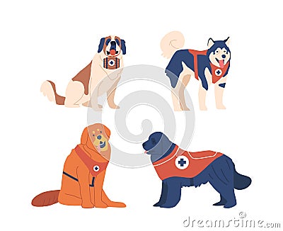 Avalanche Rescue Dogs Are Highly Trained Canines Specialized In Locating And Rescuing Victims. Their Keen Senses Vector Illustration