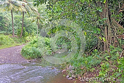 Avana stream Rarotonga Cook Islands Stock Photo