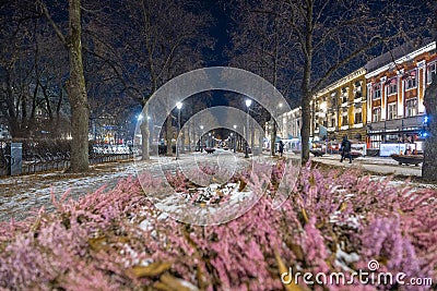 Avenue in Oslo on Karl Johans street during night in winter, with icy ground and light lamps turned on. Beautiful winter night in Stock Photo