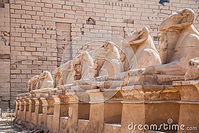 Avenue of the ram-headed Sphinxes Stock Photo