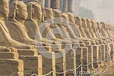 Avenue of the Sphinxes, Luxor Temple, Egypt Stock Photo