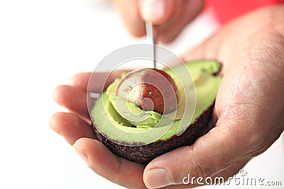 Avocado Stock Photo