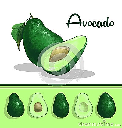 Avocado clip art Vector Illustration