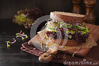 Avocado cucumber sandwich with onion and radish sprouts Stock Photo