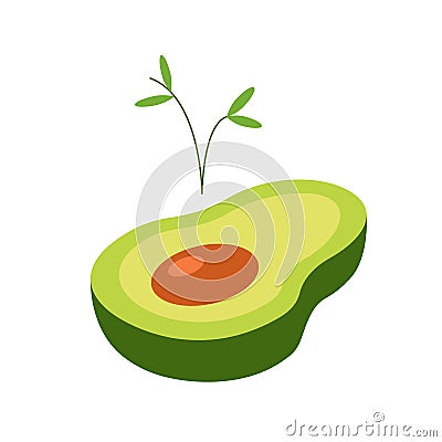 Avocado flat. Sprouting plant. Healthy food. Nature. Life in the plant. Isometric avocado Stock Photo