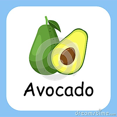 Avocado Fruit Alphabet with text flat design vector illustration Cartoon Illustration