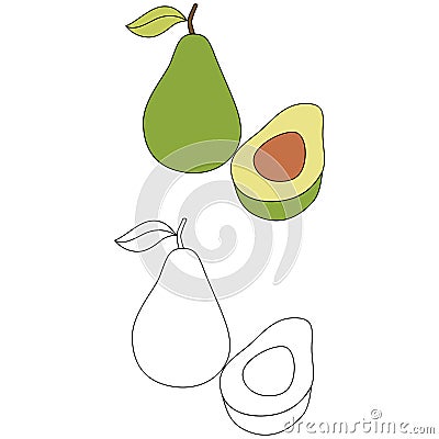 Avocado Fruit coloring page Stock Photo