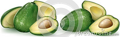 Avocado fruit and cutting half Vector Illustration