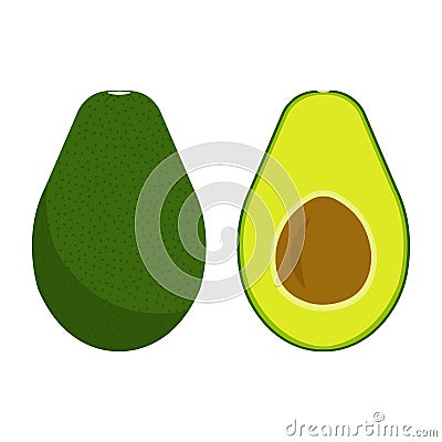 Avocado fruit icon. Vector Illustration