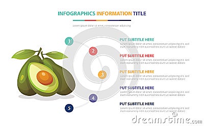 Avocado fruit infographic style template with 5 colorfull bullet number description Cartoon Illustration