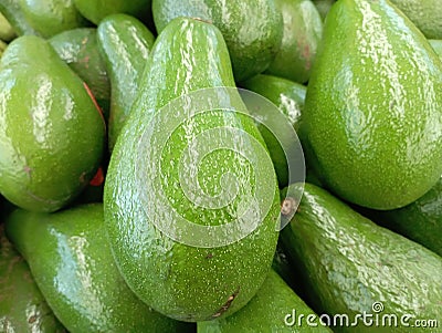 Avocado fruit persea americana to helathy Stock Photo