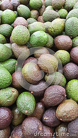 Avocado fruits look like yummy Stock Photo