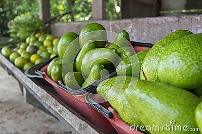 Avocado - Colombia Stock Photo