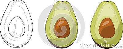 Avocado half set. Vector illustration. Coloring paper, page, book Vector Illustration