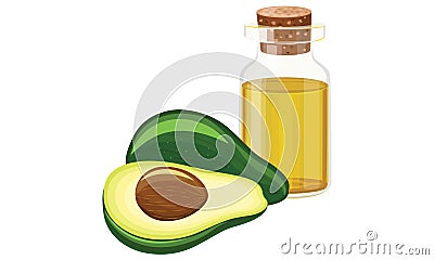 Avocado oil Vector Illustration