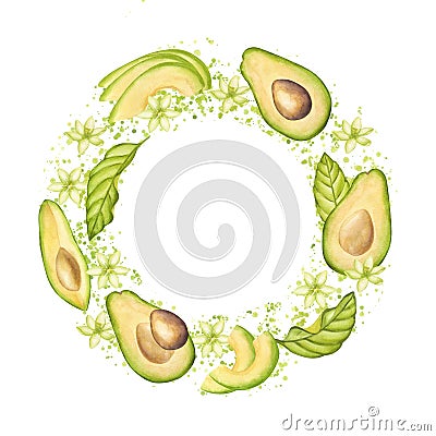 Avocado round wreath frame. Fruit half with seed core, sliced pieces, green leaves, flowers, splash. Botanical vegetable Cartoon Illustration