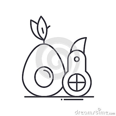 Avocado slicer icon, linear isolated illustration, thin line vector, web design sign, outline concept symbol with Vector Illustration