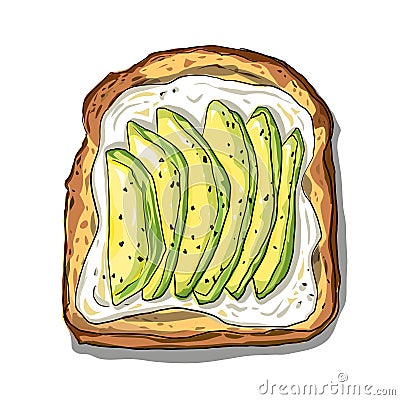 Avocado and soft cheese on toast Cartoon Illustration