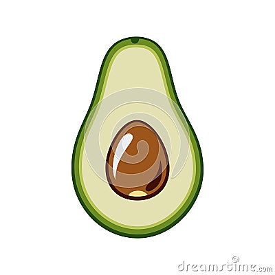 Avocado vector isolated on white backgroud. Green avocado whole, cut in half, with leaf and seed. Vector hand drawn illustration Vector Illustration