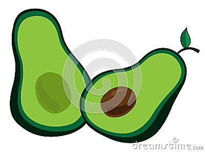 Avocado vector Vector Illustration