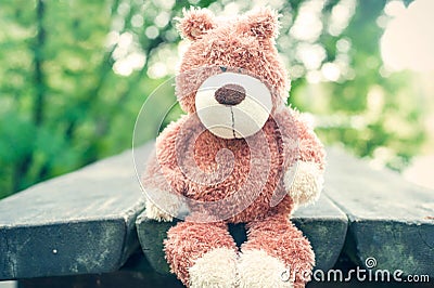 Awaiting for owner. Forgotten teddy bear toy. Sadness. Stock Photo