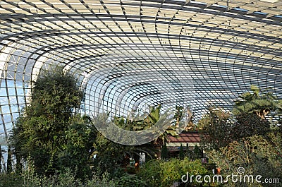 Awe of green nature within the curvy glass dome Stock Photo